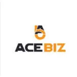 ACE BIZ CONSULTING company logo