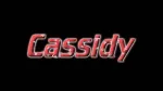 Cassidy MTL company logo