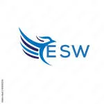 ESW IT Business Advisors company logo