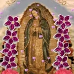 Reina De Mexico company logo