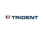 Trident Roadlines Inc company logo