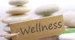 Wellness Park Clinic company logo