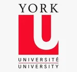 York University company logo