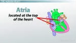 Atria Retirement Canada - Arbour Lake company logo