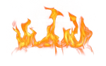Fire & Flower company logo