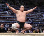 Sumo Sumo Sushi Bar & Grill company logo