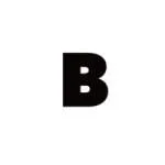 Basin Solutions company logo