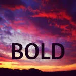 Bold Commerce company logo