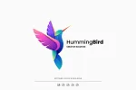 Hummingbird Contracting company logo