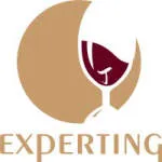 EXPERTing.ca company logo