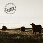 Thorlakson Feedyards Inc. company logo