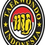 Cunningham Taekwondo company logo